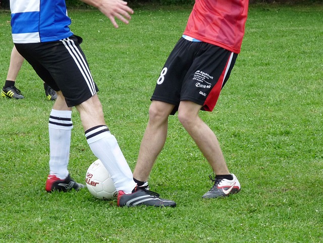 郑钦文凭借 郑钦文凭借