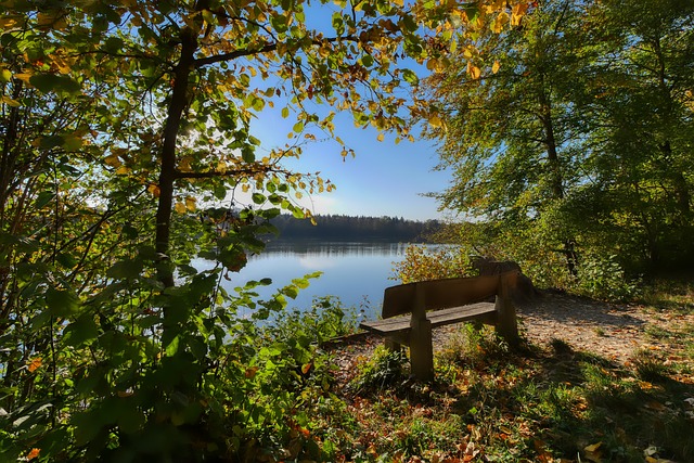 了政府维护 了政府维护