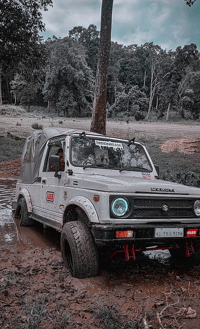 家马德里的 家马德里的