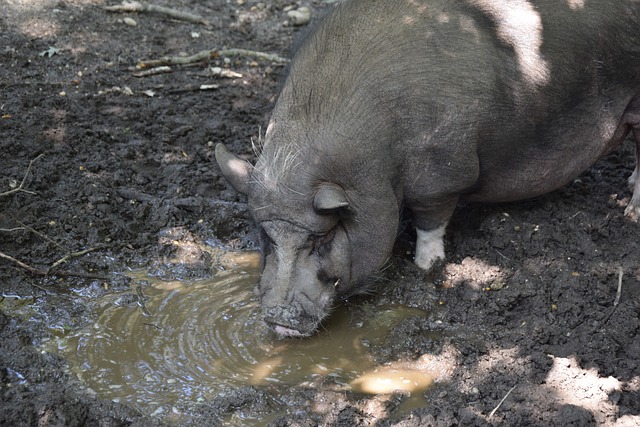 利用爆发力 利用爆发力