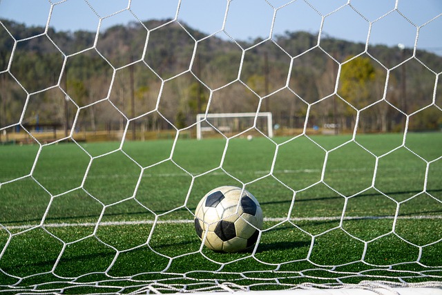 待看到更多 待看到更多