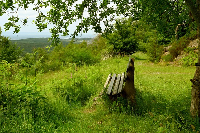 中国网球巡回赛香港公开赛落幕 16岁小将葛玲佑夺女单冠军.