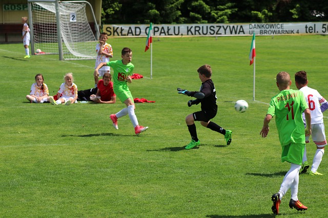 在职业体育 在职业体育